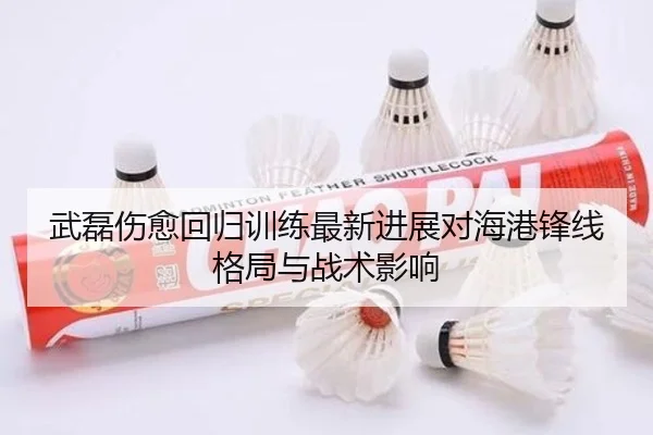 武磊伤愈回归训练最新进展对海港锋线格局与战术影响