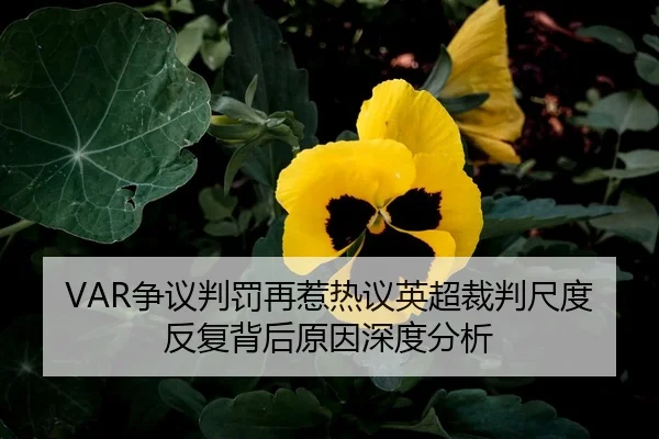 VAR争议判罚再惹热议英超裁判尺度反复背后原因深度分析